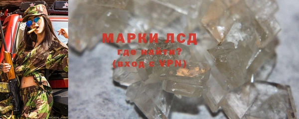 СК Зерноград