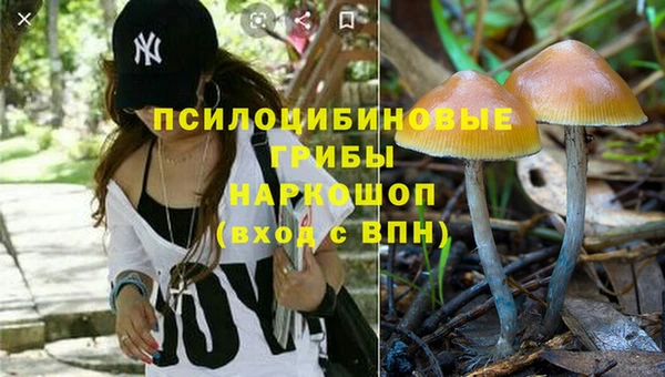 винт Зеленокумск