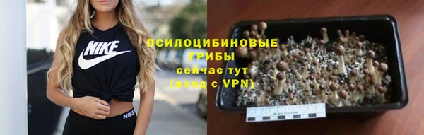 СК Зерноград