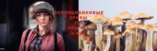 хмурый Зеленодольск