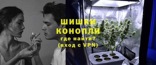 СК Зерноград