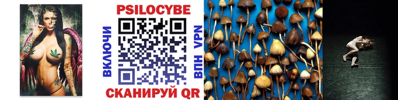 Псилоцибиновые грибы GOLDEN TEACHER  Купить закладки  Берёзовский 