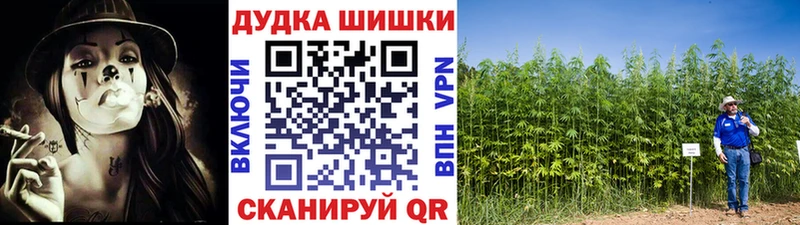 Конопля Bruce Banner  Купить где  Берёзовский 